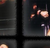 ...........................