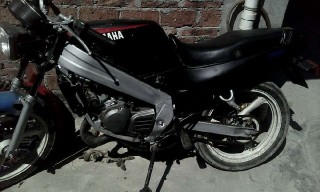 白云代友出售T仔YP正常！机头静！动了强！