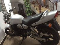 广东电白  英祖玛 400