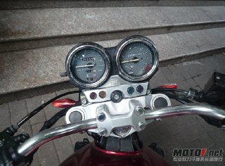 惠州出个精神小黄蜂