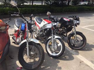 惠州龙门出售几台极品老车