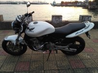 广东阳江出售黄蜂600