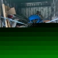 出点盗匪74/75/77/7aa配件。