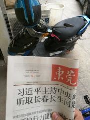 东莞转让全改59巧格绵羊仔