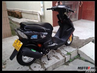 家里又添绵羊了~~想念你好久了