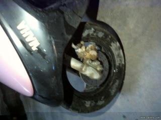 1300元出售进口雅马哈jog3代碟刹的小绵羊第一次卖车多多包涵