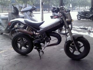 中山代友卖台ZR50猴子