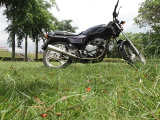 广东省茂名5300元出2部小改经典小排CBT125