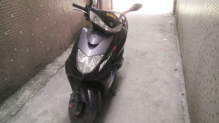 增城石滩出售原装迅鹰