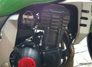 谢谢绿茵直播  已出售