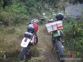 广西  来宾 出售 本田XR250   6000