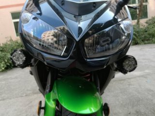 河源市埔前镇出售大大大猫卡哇撒琦 Z1000SX
