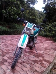 深圳5800出YAMAHA 小鹿一台