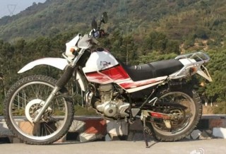 以售••••••••