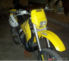 出只天价湛江三黃鸡RMX250