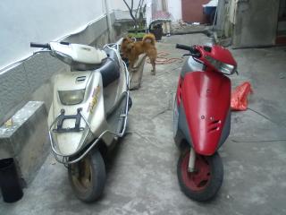 佛山南海450-1680出售YAMAHA风帆90··DIO18期··DIO28期