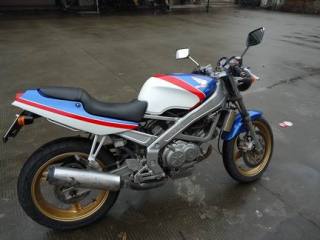 顺德均安出售精神VT小蚂蚁6100元