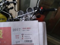 博罗地区出英祖玛400