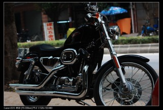 出售哈雷04的xl1200