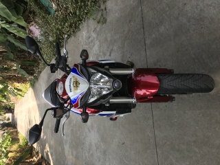 本田CB1000R变异大黄蜂