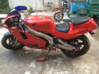 广东茂名 CBR23期  -另出120-190雨胎胎一对