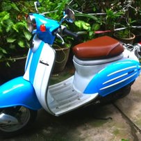 已出售,已出售,已出售