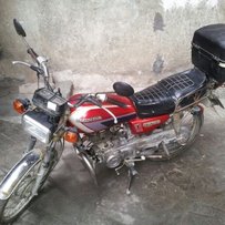 出售部过期的银猫