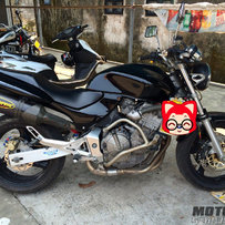 江门新会代友出售03欧版黄蜂600