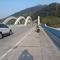 东莞出售zrx小猪头