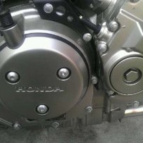 惠州博罗石湾36500出售03黄狗919