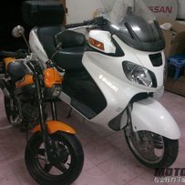 珠海28000出售天浪650和猴子（已上视频新图）