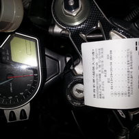 代友出售08鹦鹉