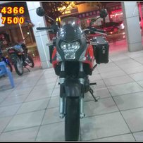 云浮地区出售两只猛禽！手快有，手慢冇，有买趁手！