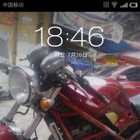 肇庆代友出盗匪250