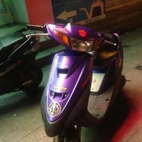 已经出售啦 感谢绿茵直播！！