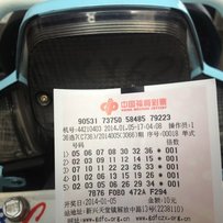 出售精神二冲鸭仔