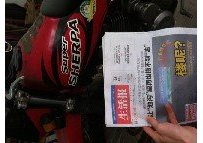 广西贵港代友1.65万出售西藏人250