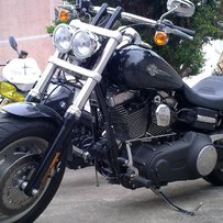 已经出售…………