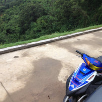 出售一部jog3代绵羊仔