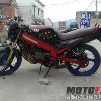 高明区继续出台半尸体tzr，元宵价1200拉走