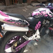 佛山出售00骚蜂