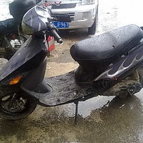 代友出jog.绵羊仔mmm已售出