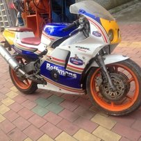 代友出 CBR22期 半尸体