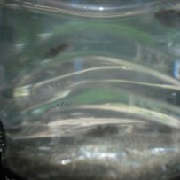 己售! 己售! 己售!