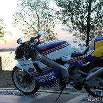 出售精神暴力  NSR PGM Ⅲ