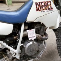 自刀1500 出铃木大眼250