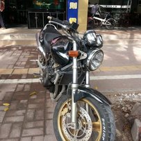 增城出售03小黄蜂