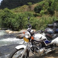 佛山黄岐7400精神夜鹰己售出