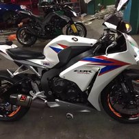 从发（顺德出售精神12款变异鹦鹉55000，接大小刀）上次打错电话