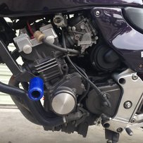 东莞沙田出部小黄蜂250(已出佛山车友)